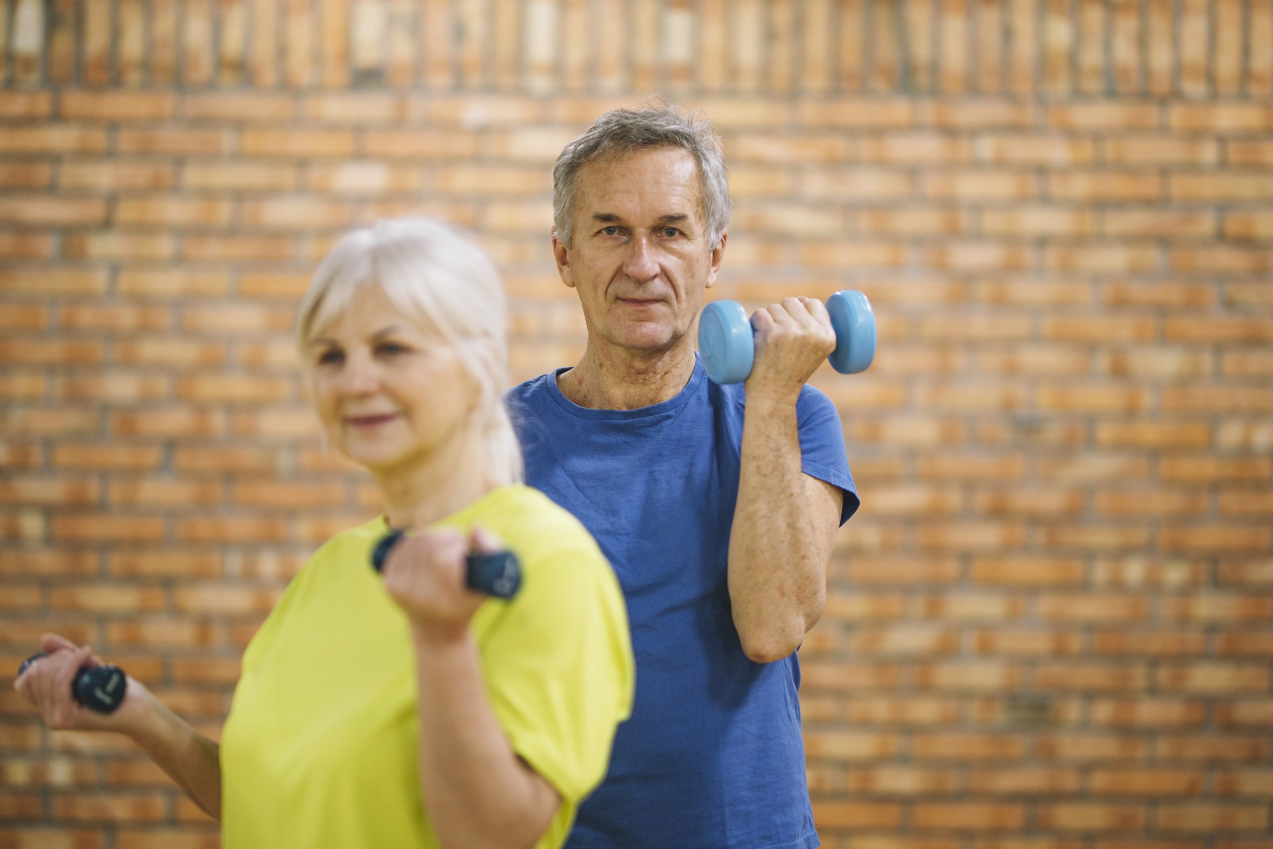 Envelhecimento e a saúde muscular: valores normativos